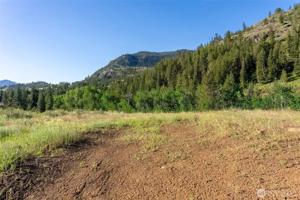 0 TBD Alder Road Twisp, WA 98856