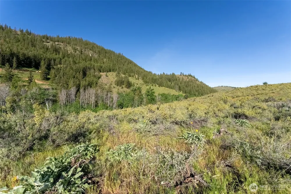 0 TBD Alder Road Twisp, WA 98856