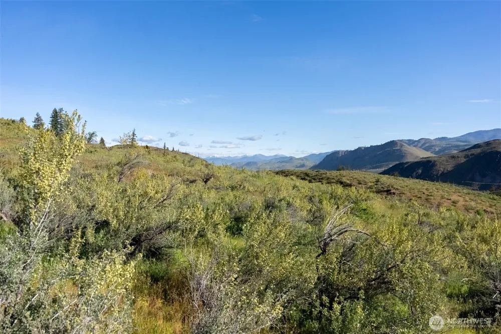 0 TBD Alder Road Twisp, WA 98856