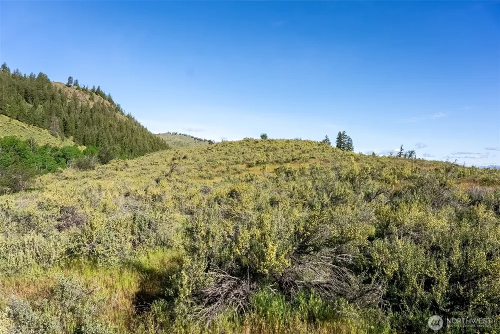 0 TBD Alder Road Twisp, WA 98856