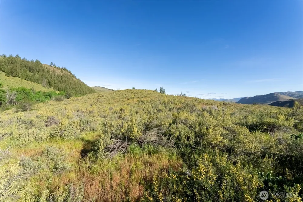 0 TBD Alder Road Twisp, WA 98856
