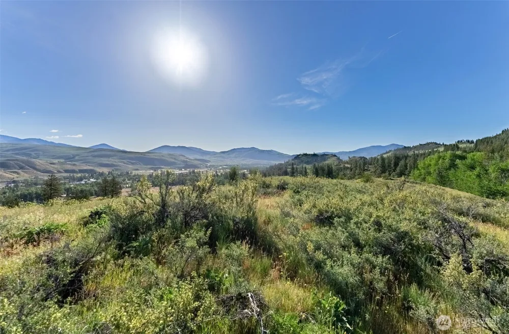 0 TBD Alder Road Twisp, WA 98856