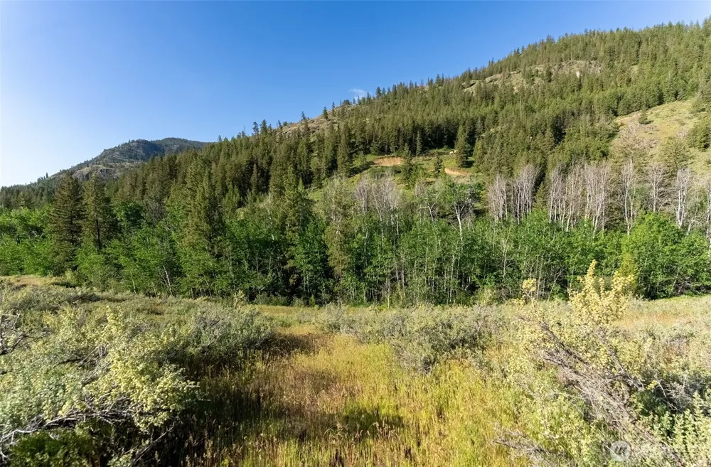 0 TBD Alder Road Twisp, WA 98856