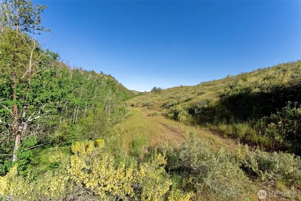 0 TBD Alder Road Twisp, WA 98856