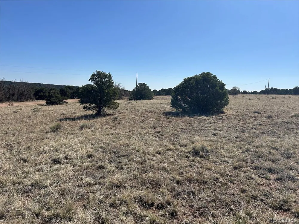 94 Navajo Ranch Resorts Walsenburg, CO 81089