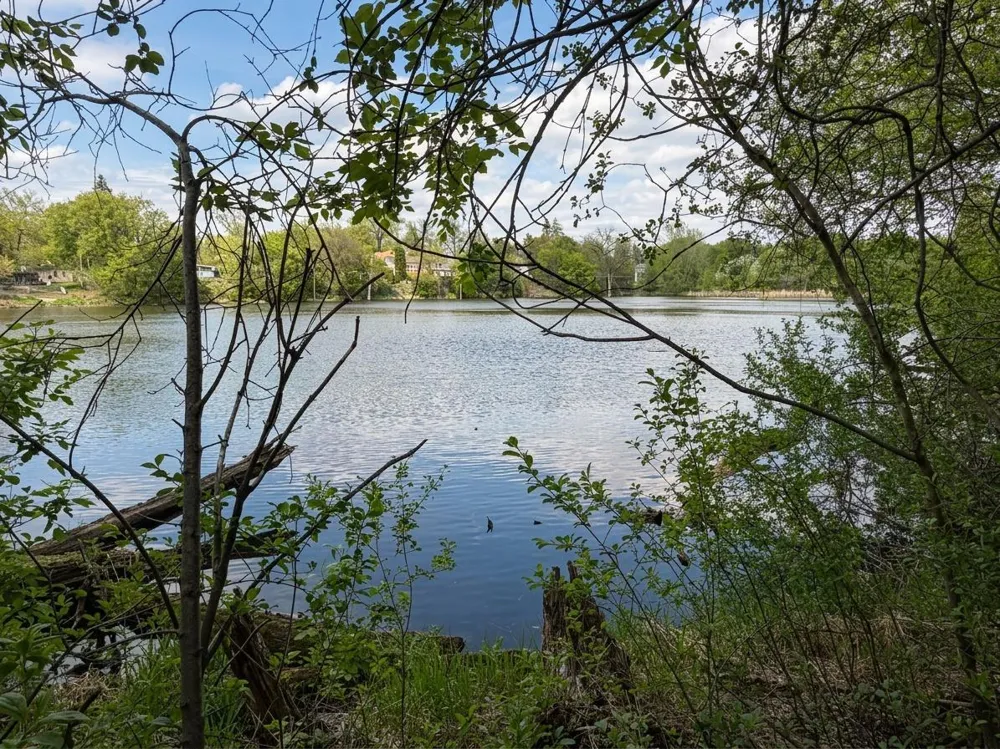 202 W Everett Avenue Fergus Falls, MN 56537