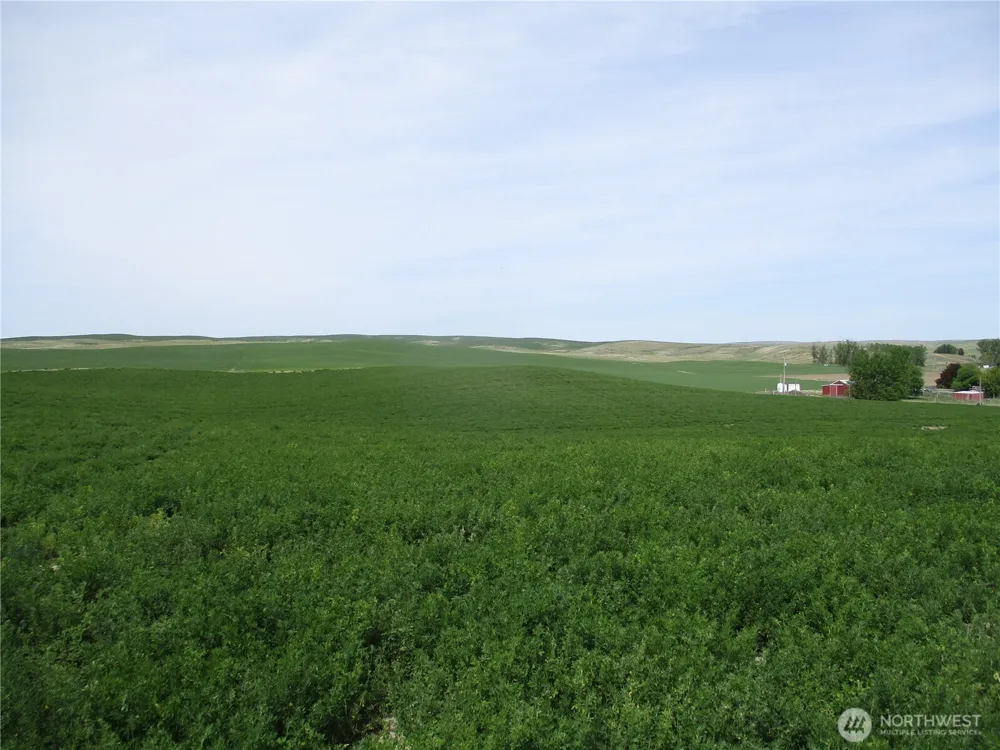 0 nka Ash Hollow Road Touchet, WA 99360