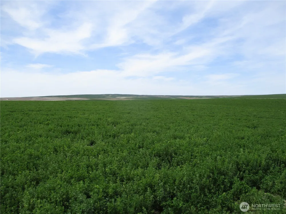0 nka Ash Hollow Road Touchet, WA 99360