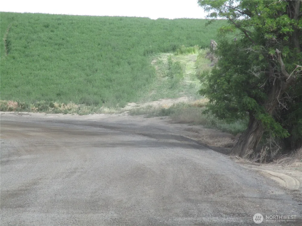 0 nka Ash Hollow Road Touchet, WA 99360