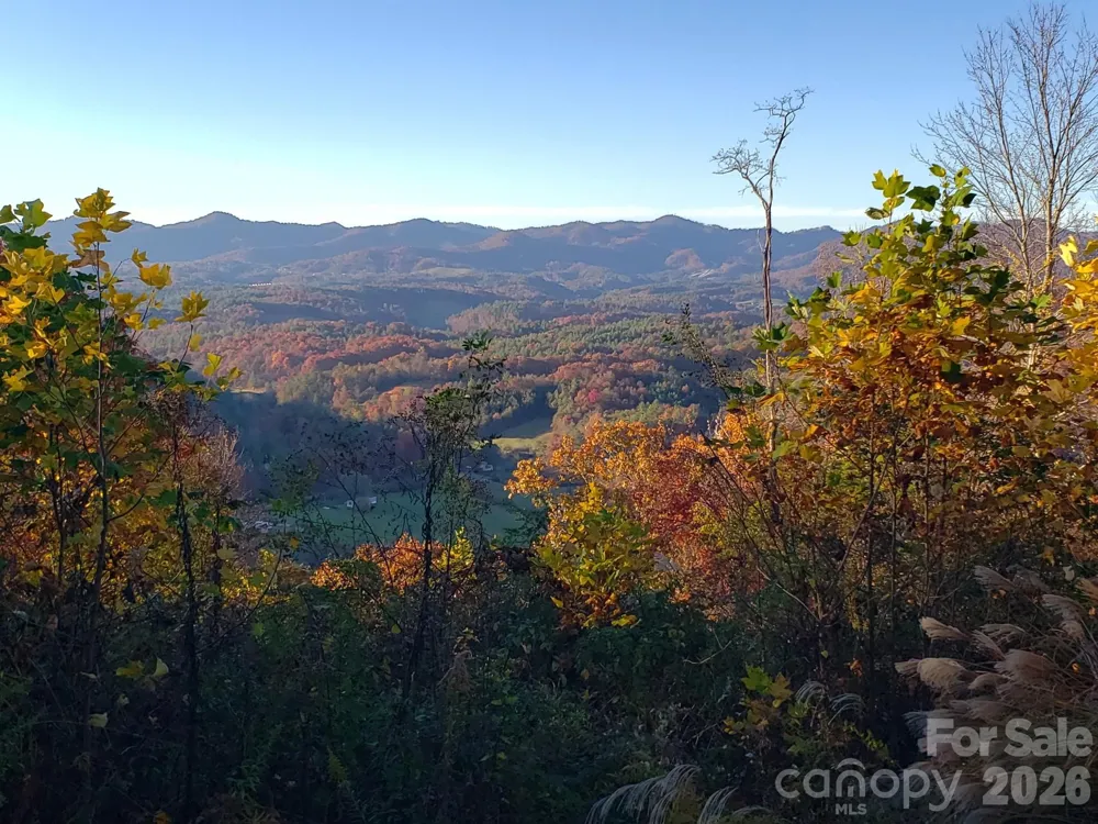 350 Vista Point Drive Weaverville, NC 28787
