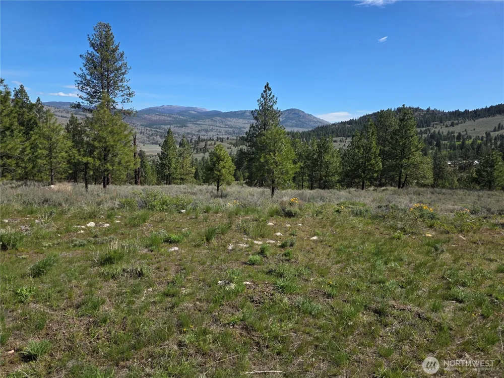 144 Reevas Basin Road Tonasket, WA 98855