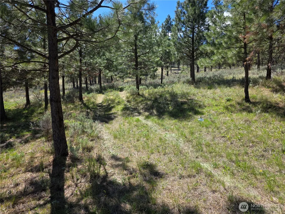 144 Reevas Basin Road Tonasket, WA 98855