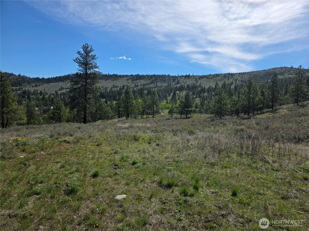 144 Reevas Basin Road Tonasket, WA 98855