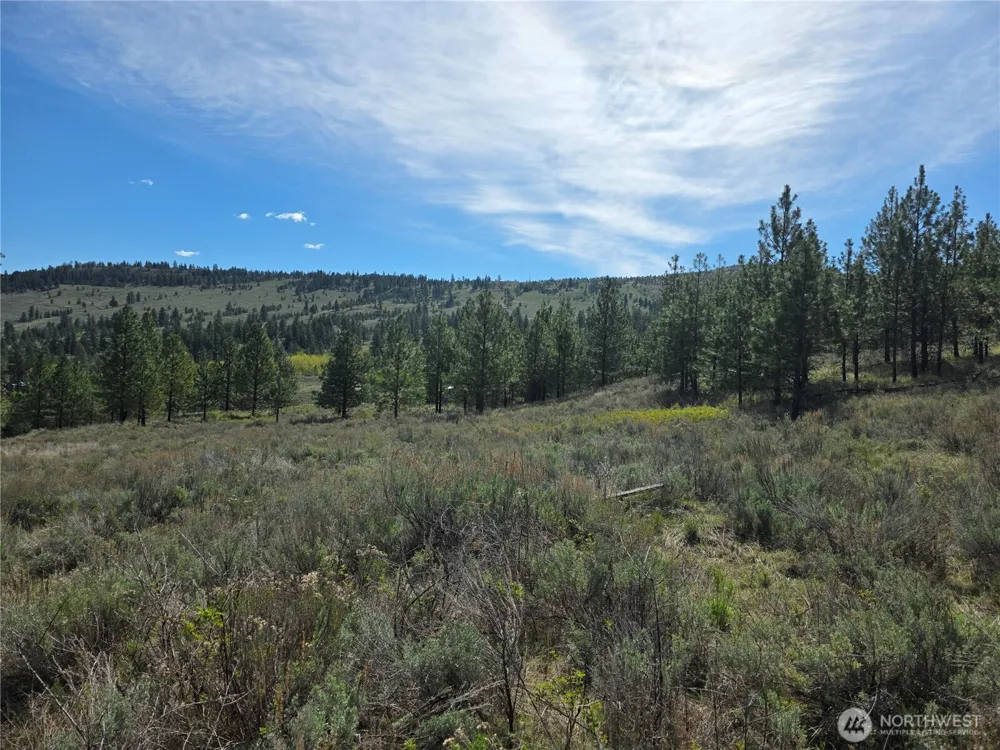 144 Reevas Basin Road Tonasket, WA 98855