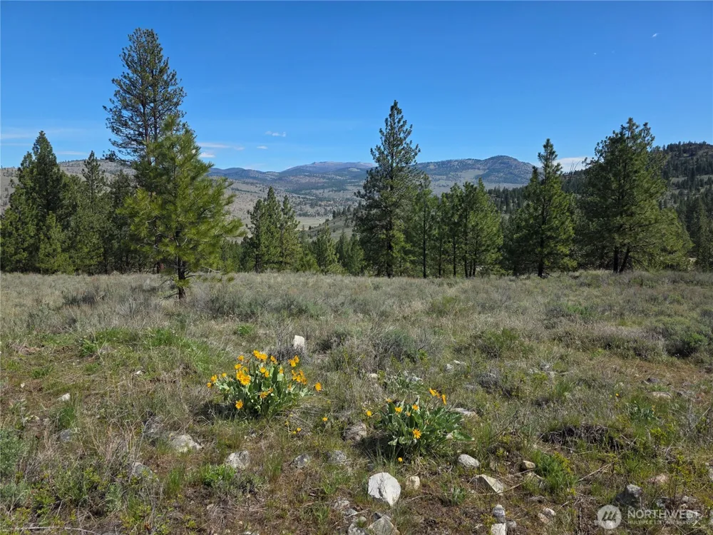 144 Reevas Basin Road Tonasket, WA 98855