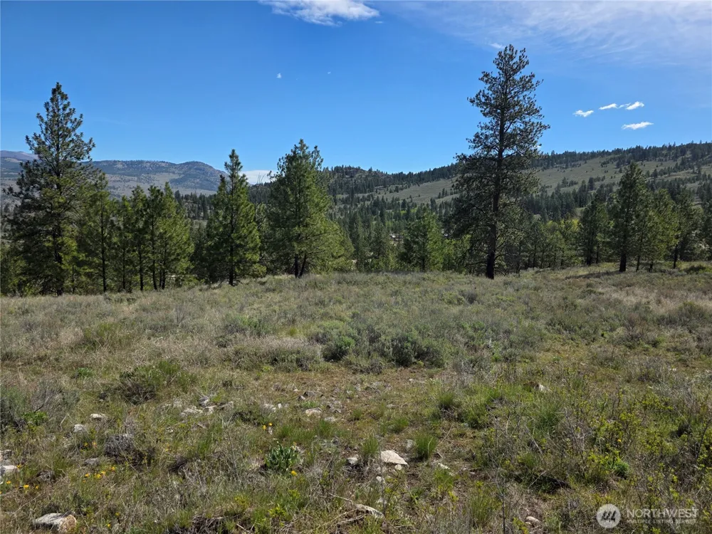 144 Reevas Basin Road Tonasket, WA 98855