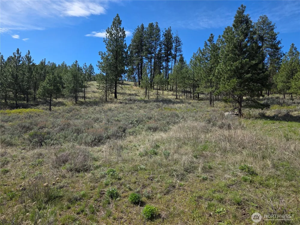 144 Reevas Basin Road Tonasket, WA 98855
