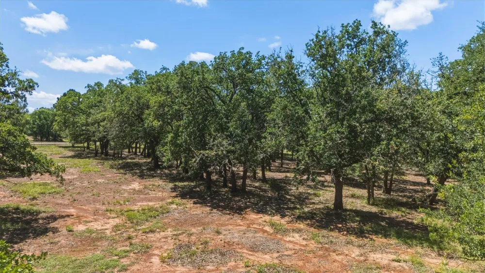 5950 Old Spanish Trail Bryan, TX 77807