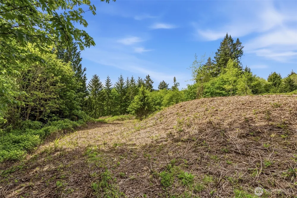 0 E State Route 4 Cathlamet, WA 98612