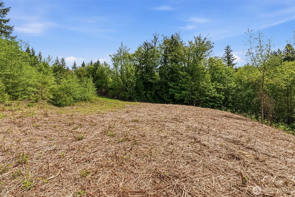 0 E State Route 4 Cathlamet, WA 98612