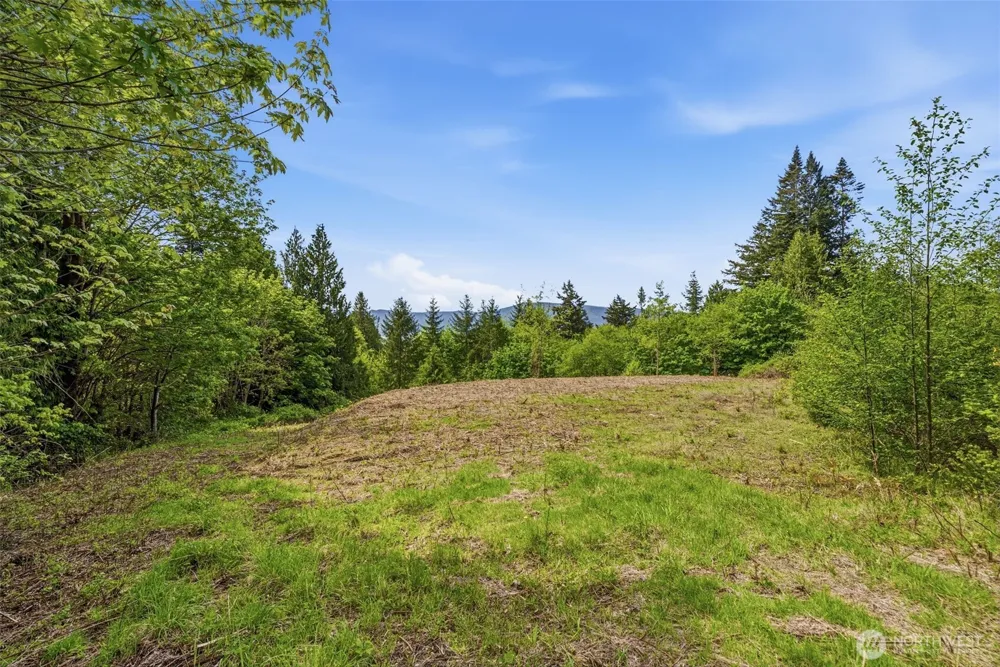 0 E State Route 4 Cathlamet, WA 98612