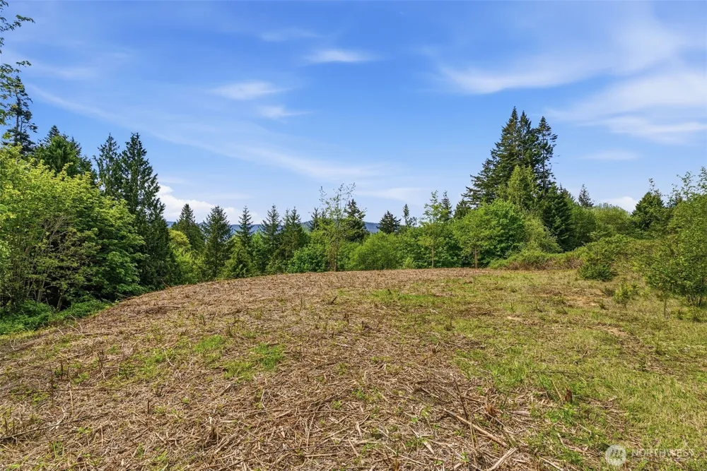 0 E State Route 4 Cathlamet, WA 98612