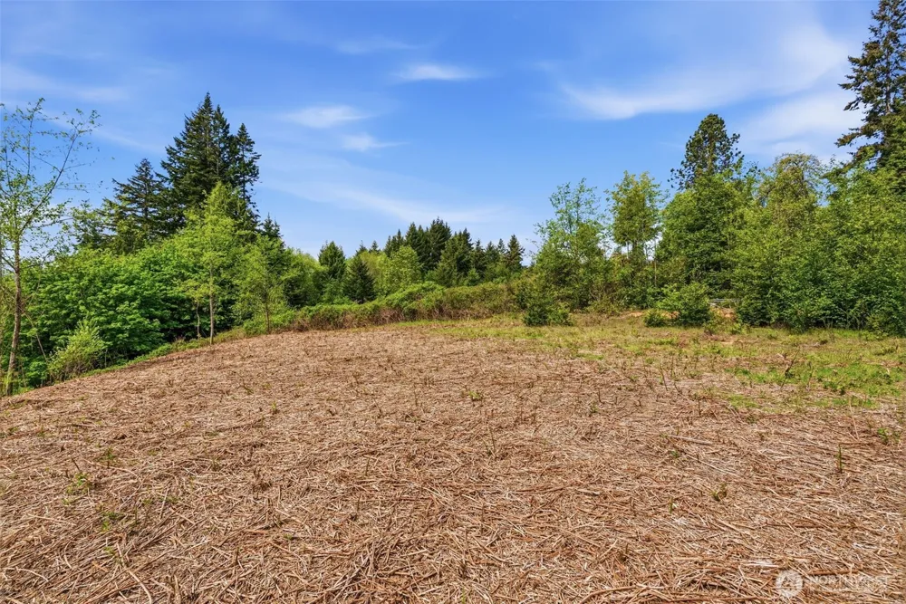 0 E State Route 4 Cathlamet, WA 98612
