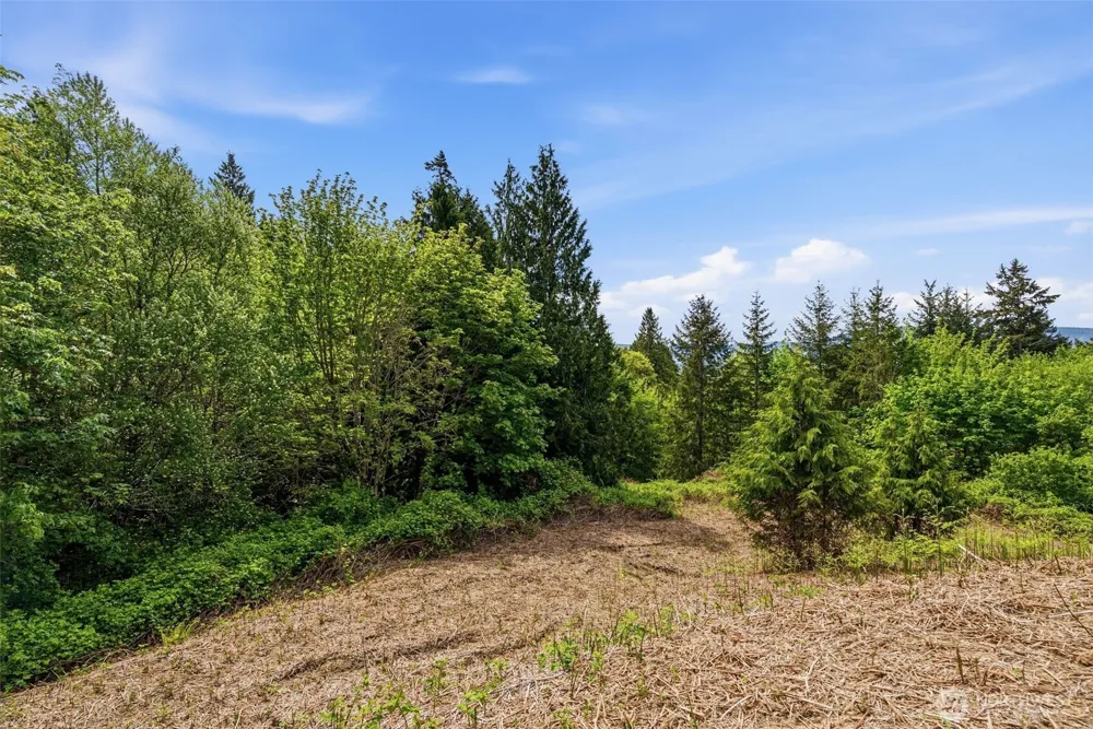 0 E State Route 4 Cathlamet, WA 98612