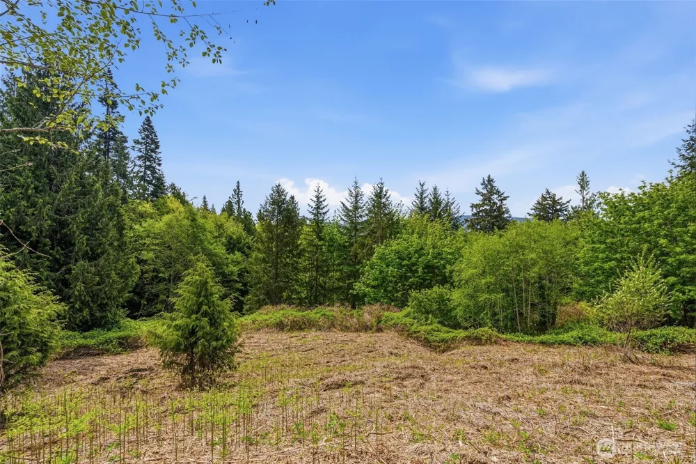 0 E State Route 4 Cathlamet, WA 98612