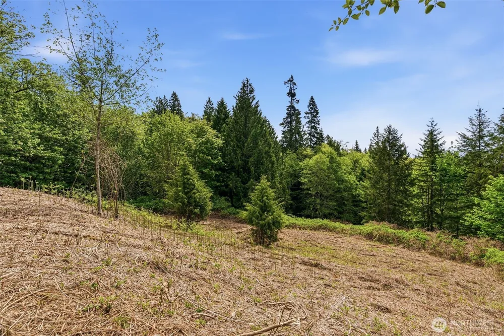 0 E State Route 4 Cathlamet, WA 98612