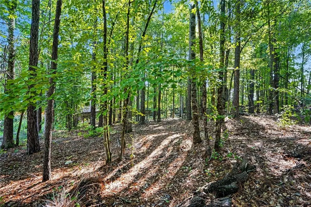 160 Brittany Lane Senoia, GA 30276