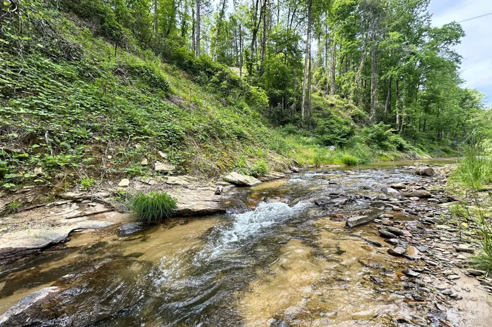 302 Rich Mountain Road Flat Rock, NC 28731