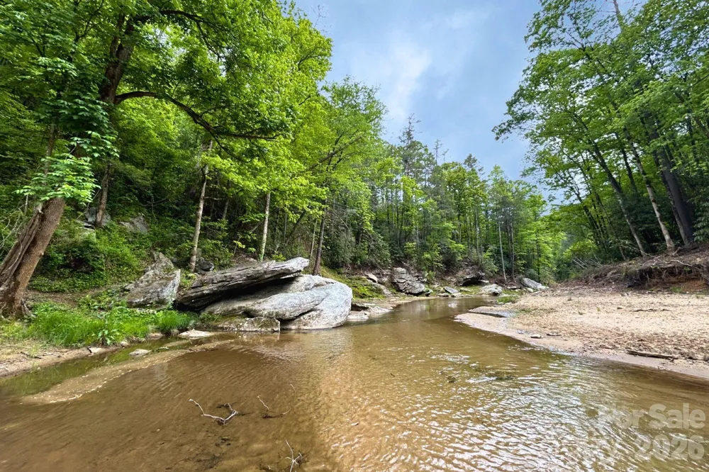 302 Rich Mountain Road Flat Rock, NC 28731