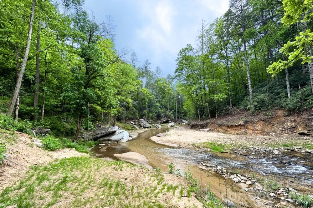 302 Rich Mountain Road Flat Rock, NC 28731