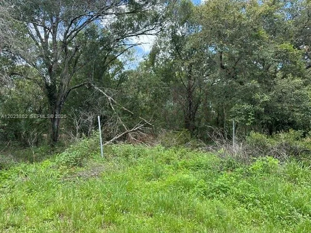 130 S BRIDA Clewiston, FL 33440