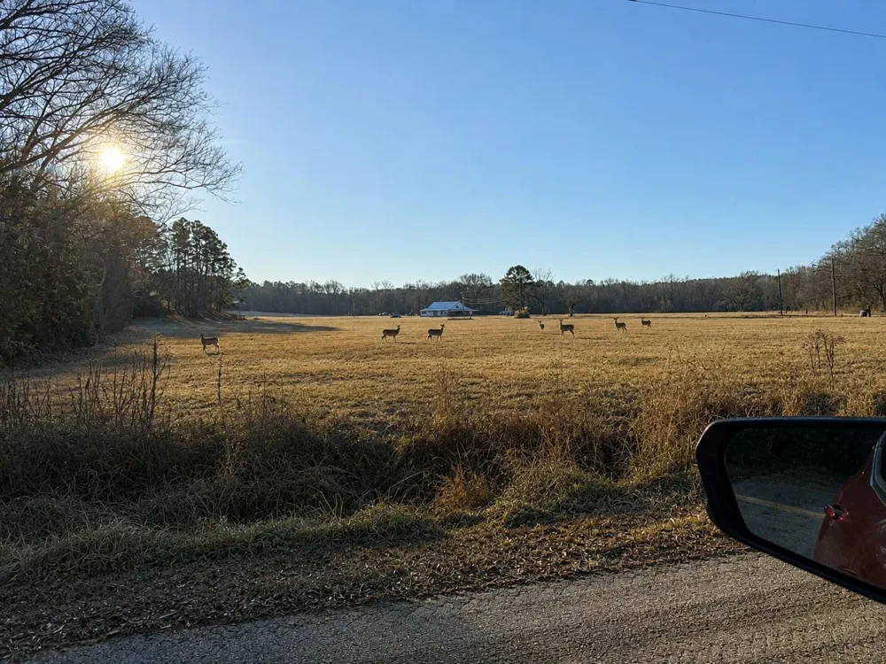 15410 Cr-354 Winona, TX 75792