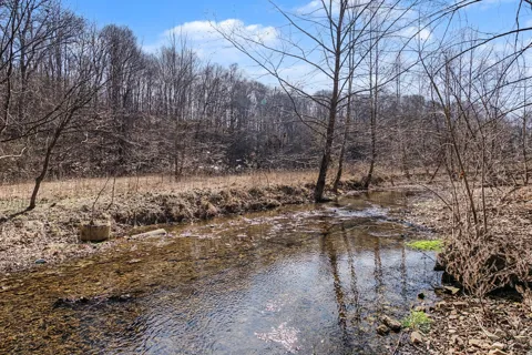 0 Ribbon Branch Road