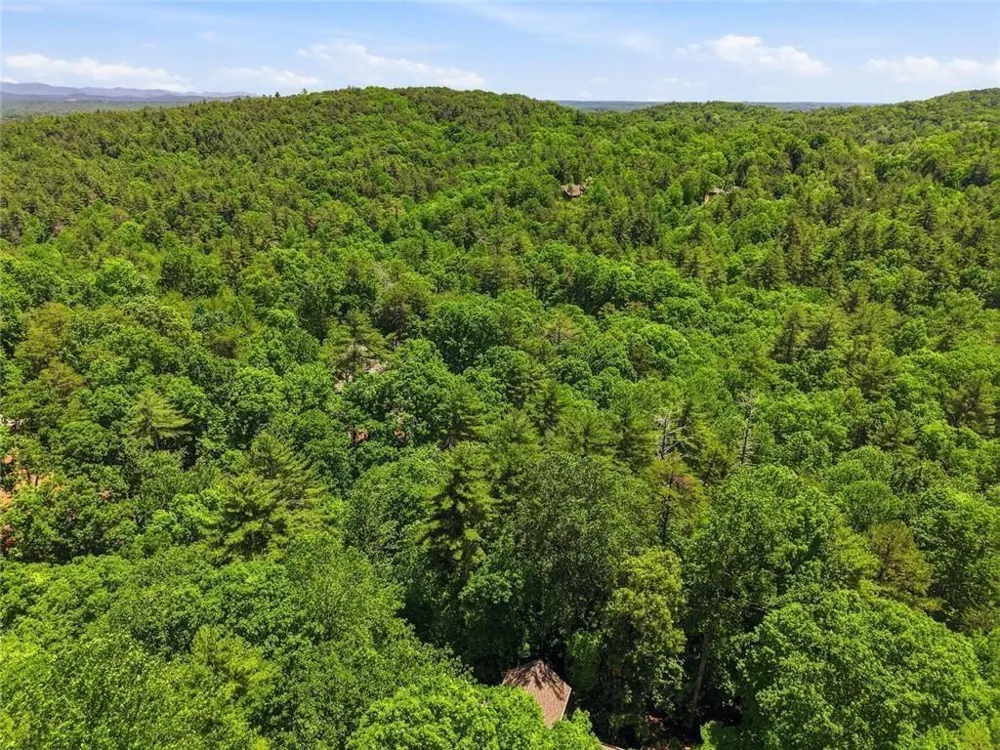 1288 Black Bear Trail Big Canoe, GA 30143