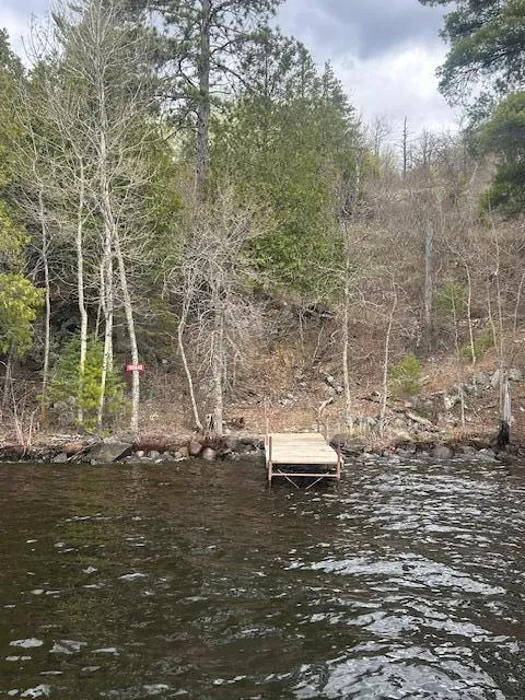 95642 Pine Island Tower, MN 55790