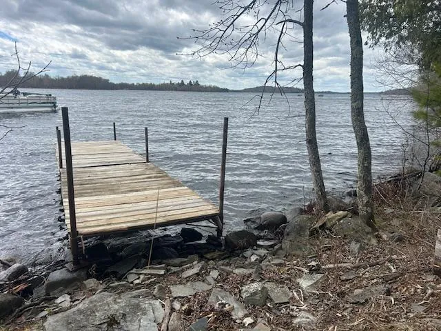 95642 Pine Island Tower, MN 55790