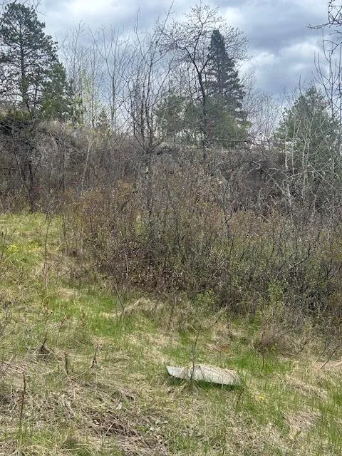 95642 Pine Island Tower, MN 55790