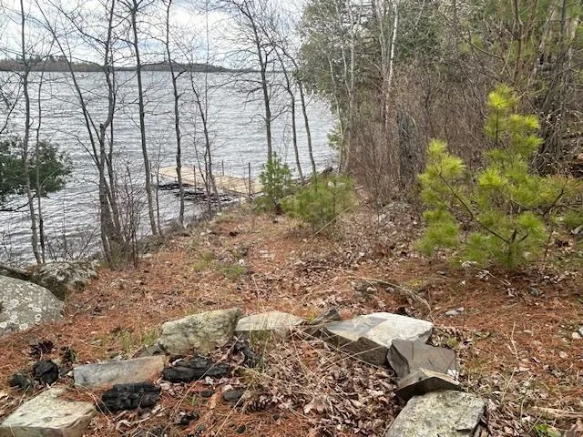 95642 Pine Island Tower, MN 55790