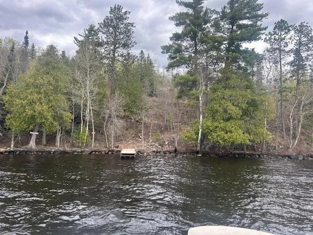95642 Pine Island Tower, MN 55790