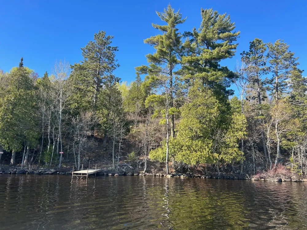 95642 Pine Island Tower, MN 55790