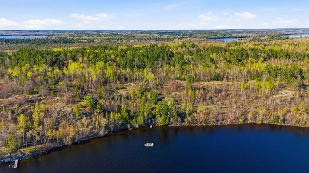 95642 Pine Island Tower, MN 55790