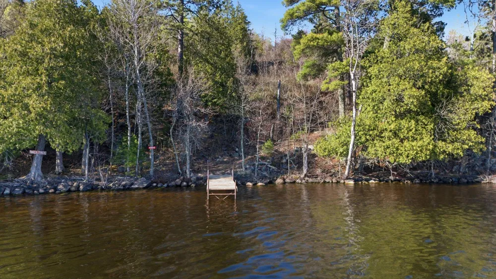95642 Pine Island Tower, MN 55790