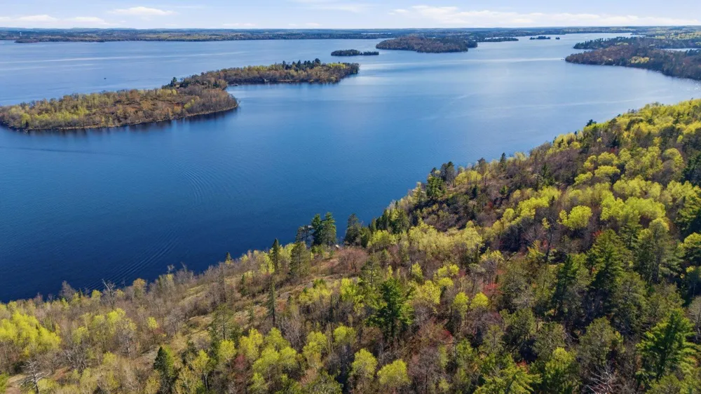 95642 Pine Island Tower, MN 55790