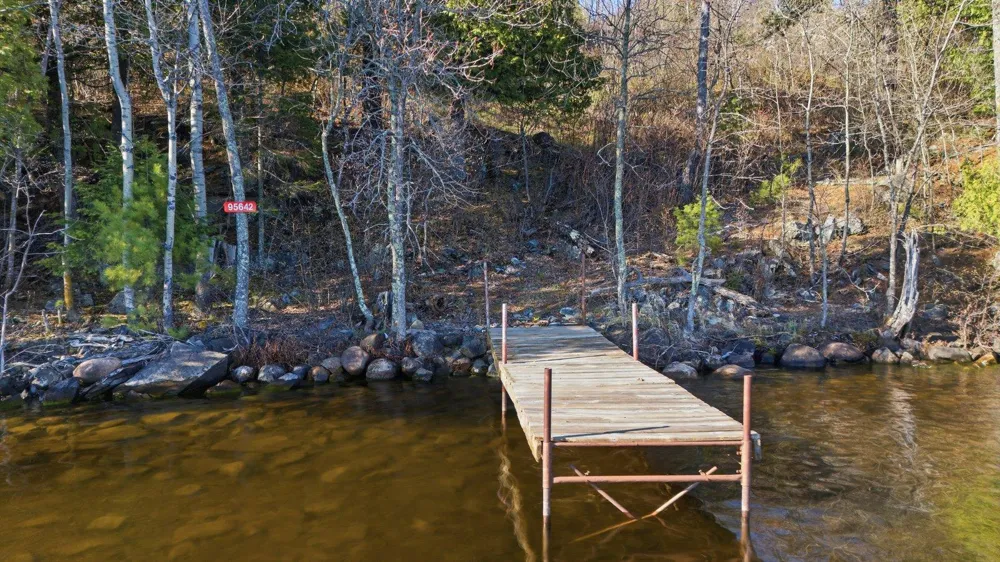95642 Pine Island Tower, MN 55790