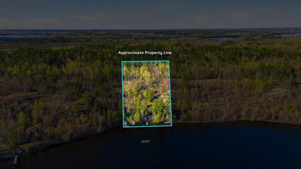 95642 Pine Island Tower, MN 55790