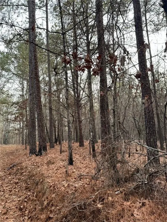 3744 Morton Bend Road Rome, GA 30161